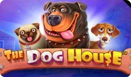 Azurslot – The Dog House